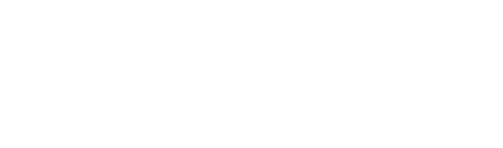 Medneer Sanvionics